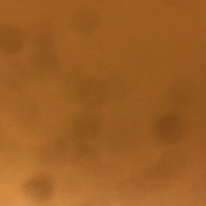 Meet your Posher, Freddy